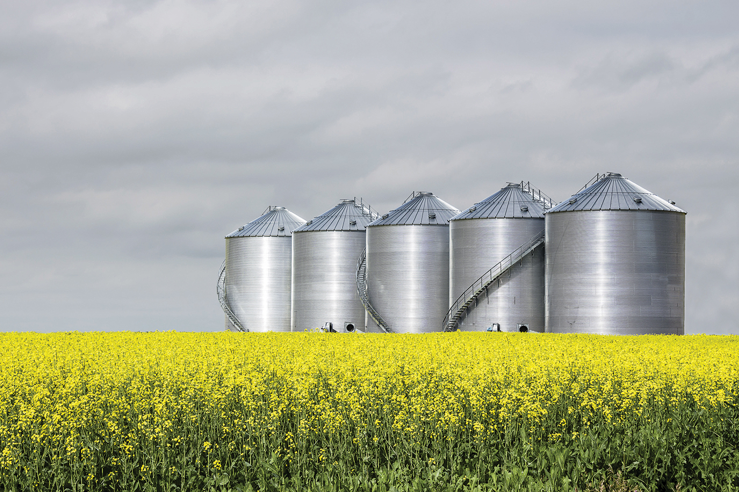 Grain Bin1512x1008.jpg